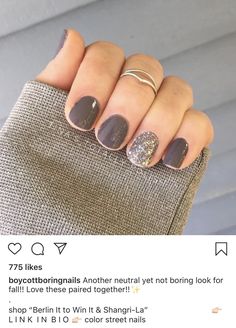 Grey Nails With Sparkle Accent, Powder Dip Neutral Nails, Fall Nail Shellac Colors, Dip Nail Ideas For January, Everyday Gel Nails Simple, Fall Dip Manicure Ideas For Short Nails, Accent Nail Color Combos, Nail Designs For Office Job, Trending Dip Nails 2023