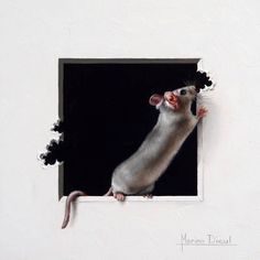 a rat looking through a hole in the wall with its mouth open and it's head sticking out