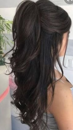 Pose Mode, Ponytail Hairstyle, Prom Hairstyles For Long Hair, Penteado Cabelo Curto, Easy Hairstyles For Long Hair, Prom Hairstyles, Hair Inspo Color, Hairstyles For Long Hair