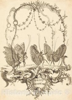 an illustration of three butterflies in the air