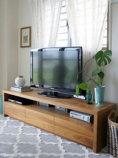 a tv stand with a plant on top of it