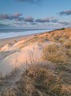 a sandy beach with grass and bushes on the sand, under a cloudy blue sky