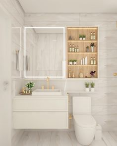 a bathroom with a toilet, sink and shelves filled with bottles on the wall next to it