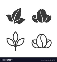 coffee beans and leaves icon set