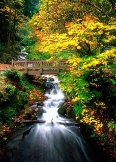 a small waterfall in the middle of a forest with a bridge and trees around it