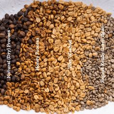 the different types of nuts are shown in this image, including almonds and coffee beans