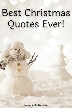 a snowman with the words best christmas quotes ever