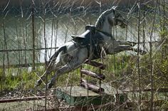 a horse that is jumping over some rocks in the grass and water behind it are fenced off with barbed wire