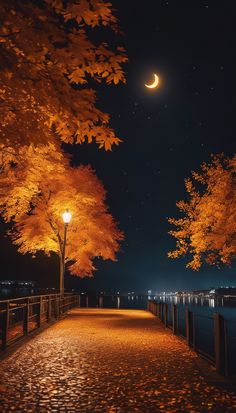 Autumn Potpourri, Drogon Game Of Thrones, Moonlight Serenade, Triumph Motorbikes, Beautiful Nature Wallpaper Hd, Night Pictures, Art Gallery Wallpaper, Autumn Scenery