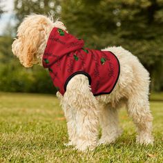 a small white dog wearing a red shirt with writing on it's chest standing in the grass