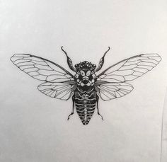 a black and white drawing of a bee