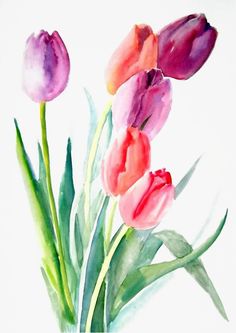 watercolor painting of pink and purple tulips