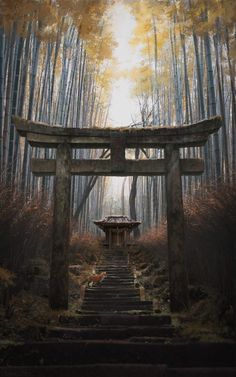 Sacred Groves, Feudal Japan, Japan Architecture, Japan Photography, Japon Illustration, Japanese Landscape, Japan Aesthetic, Samurai Art, Fantasy Places