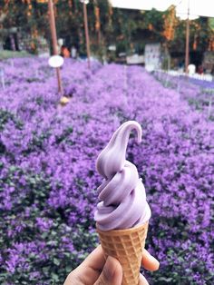 a hand holding an ice cream cone with purple flowers in the background