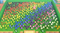 a large garden with many different colored flowers