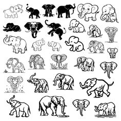 an image of various elephants in black and white colors on a white background stock photo