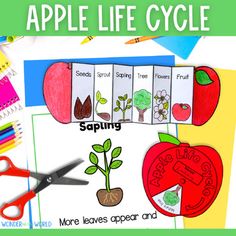 an apple life cycle is shown with scissors and paper