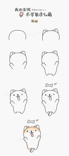 an illustrated drawing of cats with different facial expressions and their names in english or chinese