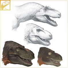 three different types of dinosaurs with their mouths open