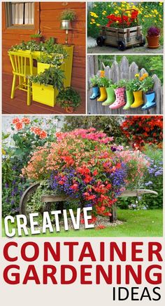 an image of some flowers and plants in different colors on the page, with text below that reads creative container gardening ideas - jpa