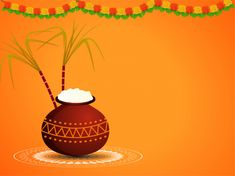 an illustration of a pot with rice in it and decorations around the rim on an orange background