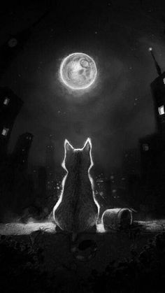 a black and white photo of a cat looking at the moon