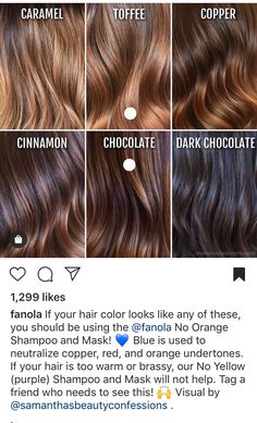 Toffee Highlights On Brown Hair, Hair Strips Color Highlights, Different Types Of Brown Hair Shades, Cooper Hair Color Highlights, Toffee Hair Color Brown, Toffee Brown Hair Color, Toffee Brown Hair, Cooper Balayage Brunettes, Brown Hair Chart