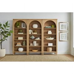 a wooden bookcase filled with lots of books next to a potted plant on top of a rug