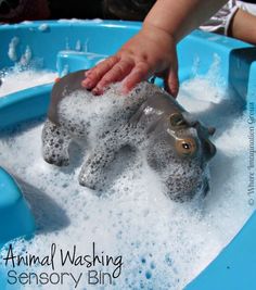 a child's hand washing a toy hippo in a bathtub with foam