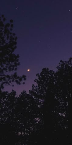 the night sky is lit up with stars and moon in the distance, as seen through trees