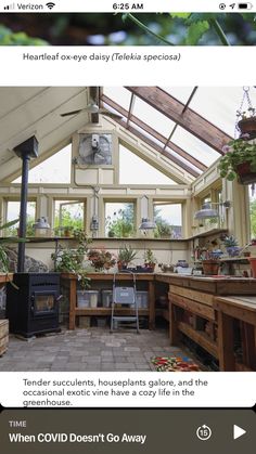 the inside of a house with lots of windows and plants in pots on the counter