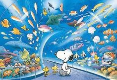 a cartoon dog is looking at an aquarium with many fish and other animals in it