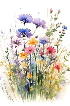 watercolor painting of wildflowers and daisies on white paper with blue, yellow, pink, purple and orange flowers