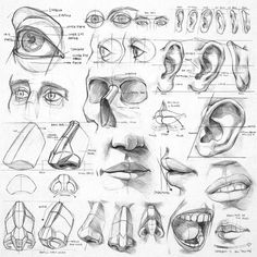 an image of various facial expressions drawn in pencil on paper with the caption's description below