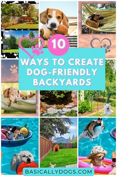 the words 10 ways to create dog - friendly backyards with pictures of dogs and their owners