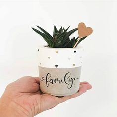 a hand holding a small potted plant with the word family on it and a heart