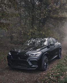 a black bmw x6 parked in the woods on a foggy day with trees