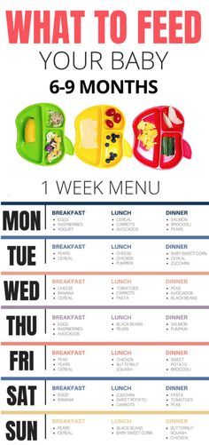 what to feed your baby 6 - 9 months week menu with instructions for each meal