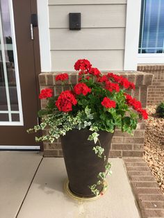 a potted plant with red flowers on the front porch