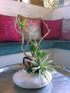 an air plant sits on top of a round table in front of a blue couch