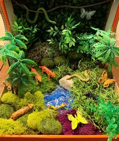 a box filled with lots of different types of plants and animals in it's display