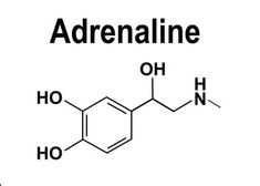 adrenaline is an antioxidamide used in medicine