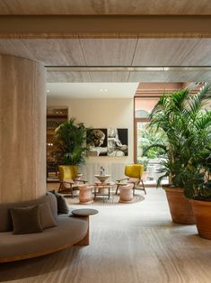 a living room filled with lots of furniture and potted plants on the side of it