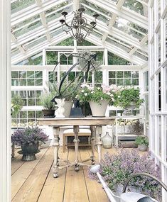 the inside of a greenhouse with potted plants