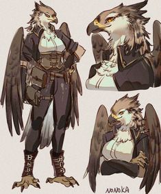 an image of some kind of bird character with wings on his chest and head, in different poses