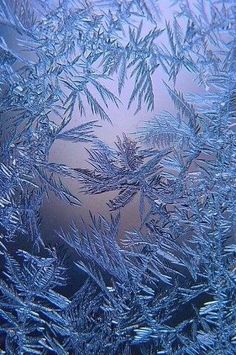 ice crystals are seen on the window glass