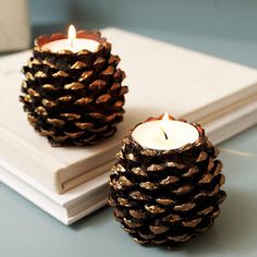 two pine cone candles sitting on top of a white book next to a candle holder