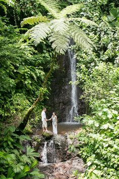 a man and woman standing in front of a waterfall with ferns on the side, surrounded by greenery