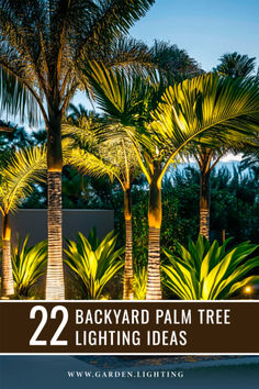 palm trees with text overlay reading 22 backyard palm tree lighting ideas from garden lighting