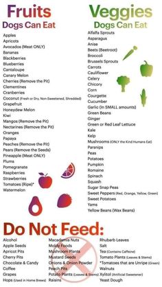 a menu for fruits and vegetables with the words don't feed written on it